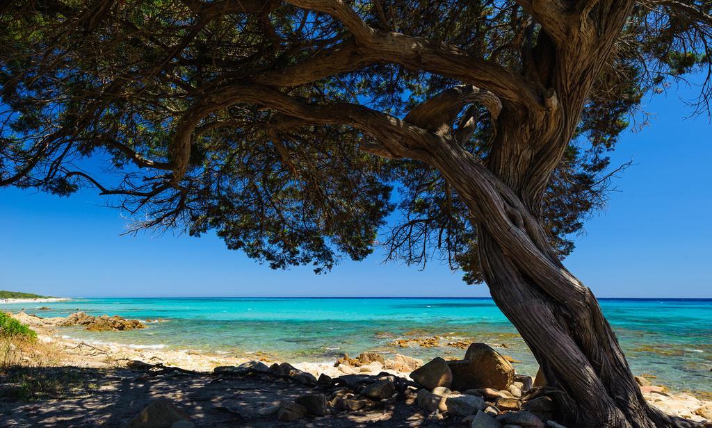 Hébergement de vacances Casa Vacanze Margherita *